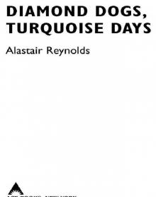      Diamond Dogs, Turquoise Days