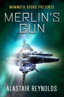      Merlin's Gun