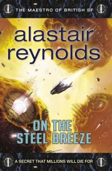      On the Steel Breeze