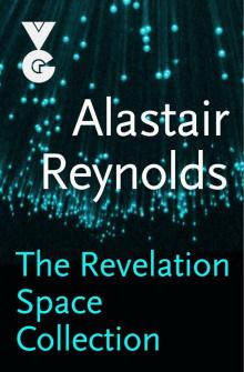      The Revelation Space Collection