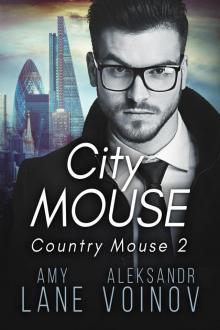     City Mouse