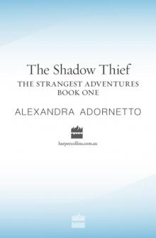      The Shadow Thief