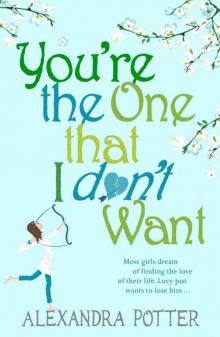      You're the One That I Don't Want