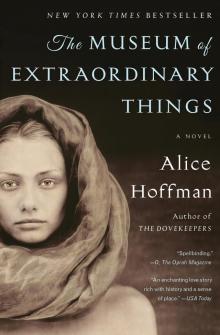      The Museum of Extraordinary Things