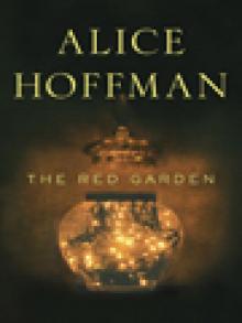      The Red Garden