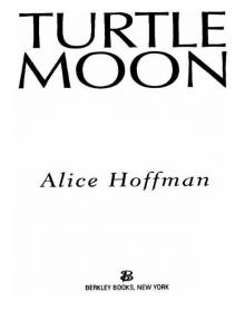      Turtle Moon
