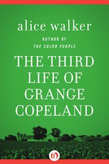      The Third Life of Grange Copeland