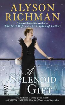      A Splendid Gift