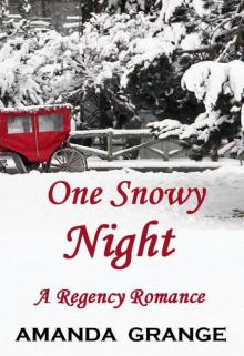      One Snowy Night