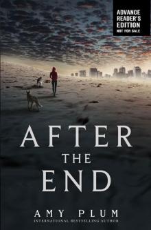      After the End