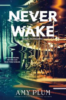      Neverwake