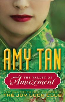      The Valley of Amazement
