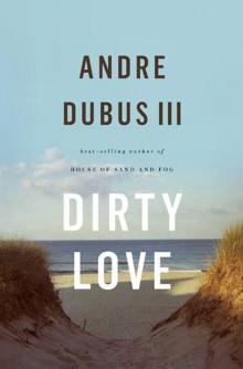      Dirty Love