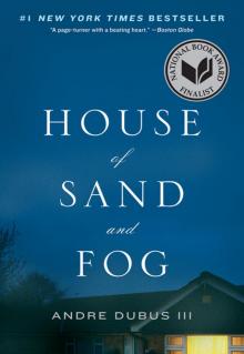      House of Sand and Fog: A Novel