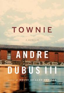      Townie