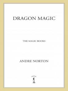      Dragon Magic