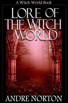      Lore of Witch World (Witch World Collection of Stories) (Witch World Series)