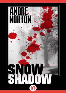      Snow Shadow