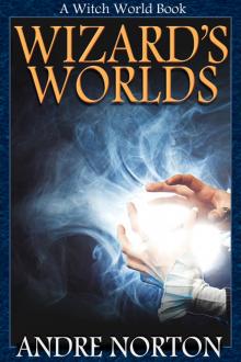      Wizards’ Worlds