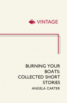      Burning Your Boats: Collected Short Stories
