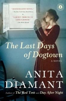      The Last Days of Dogtown