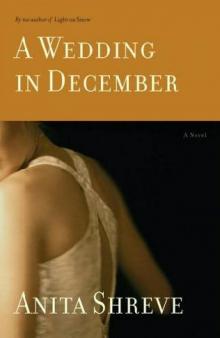      A Wedding in December