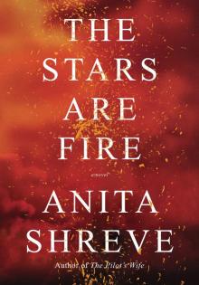      The Stars Are Fire