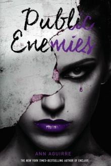      Public Enemies