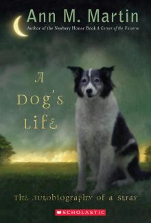      A Dog's Life: The Autobiography of a Stray