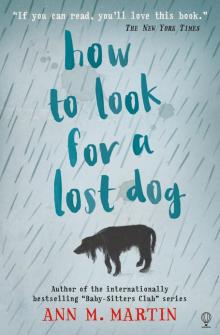      How to Look for a Lost Dog
