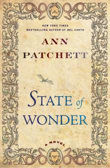      State of Wonder