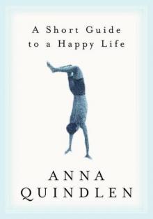      A Short Guide to a Happy Life