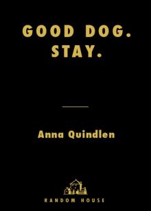      Good Dog. Stay.