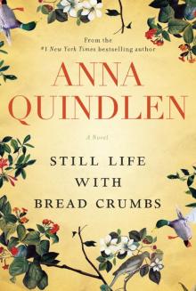      Still Life With Bread Crumbs: A Novel