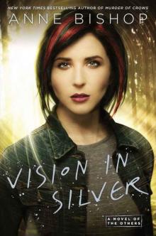      Vision in Silver
