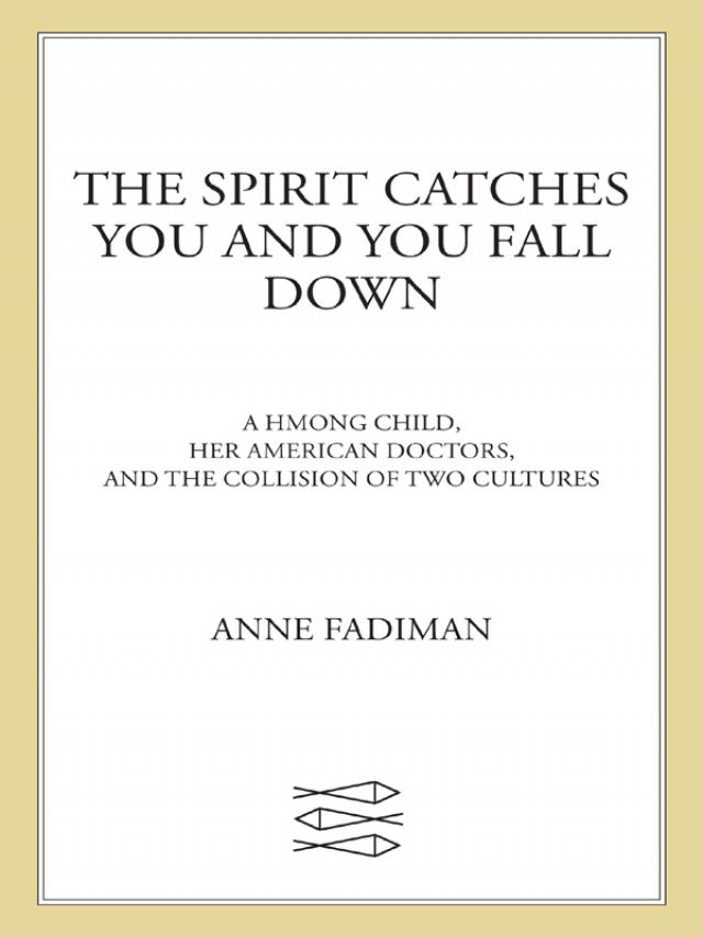 the spirit catches you and you fall down book buy