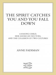      The Spirit Catches You and You Fall Down