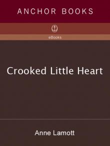      Crooked Little Heart