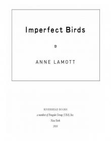      Imperfect Birds