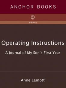      Operating Instructions: A Journal of My Son's First Year