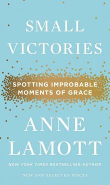      Small Victories: Spotting Improbable Moments of Grace