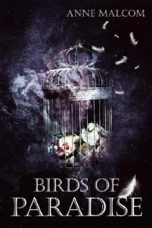      Birds of Paradise