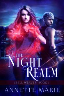      The Night Realm