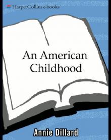      An American Childhood