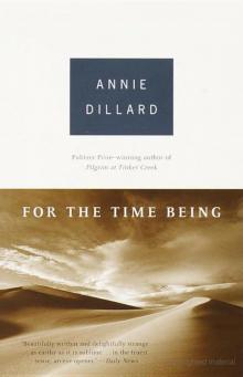      For the Time Being