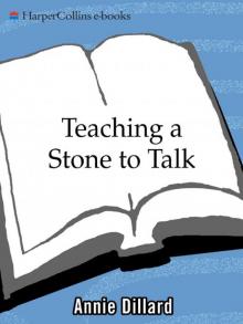      Teaching a Stone to Talk: Expeditions and Encounters