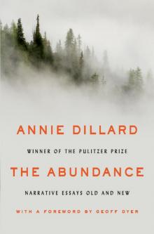     The Abundance: Narrative Essays Old and New