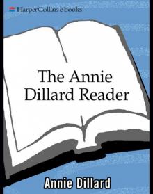      The Annie Dillard Reader