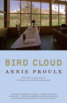      Bird Cloud