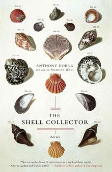      The Shell Collector